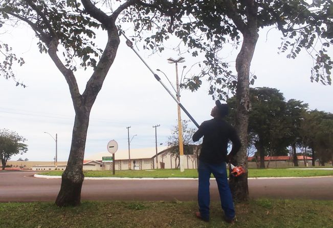 MANEJO DE ÁRVORES URBANAS